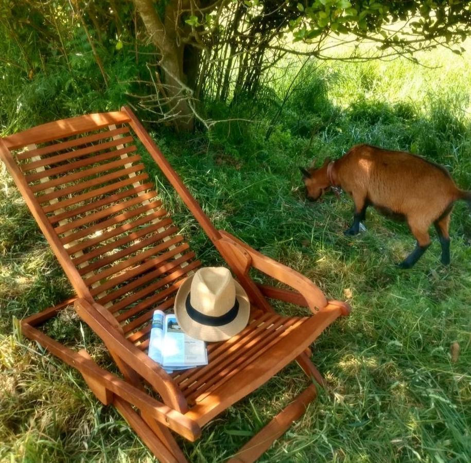 Casa Rural Lineiros Muxia Εξωτερικό φωτογραφία